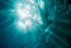 realaxation technique water