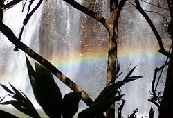 water rainbow